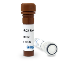 2x SYBR Green qPCR Master Mix