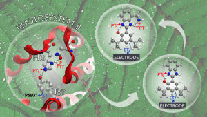 ZnO Nanocrystals Diagram