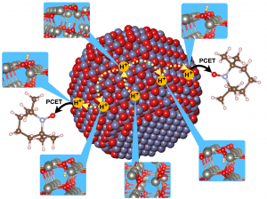 BLUF Photoreceptor Diagram