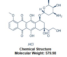Doxorubicin and Apoptosis Research
