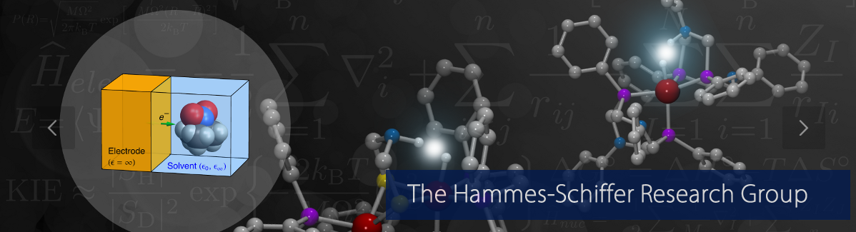 Hammes-Schiffer Research Group Banner